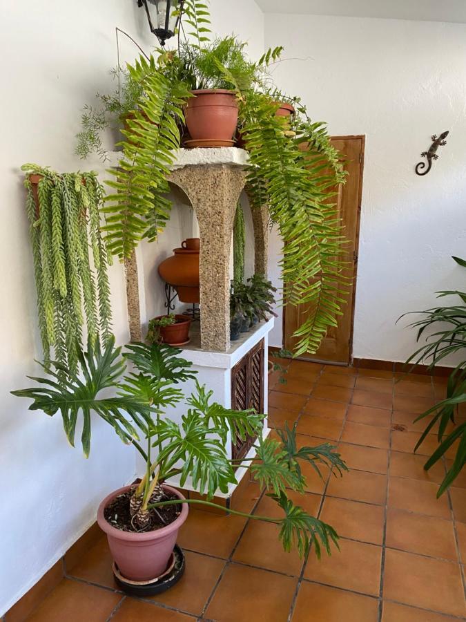Villa Casa en Mogán Las Burrillas Esterno foto